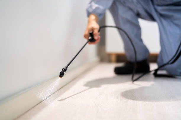 Bed Bug Pre-Treatment Preparation Assessment in Nags Head