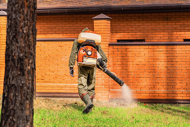 Bed Bug Clearance Verification and Documentation in Nags Head